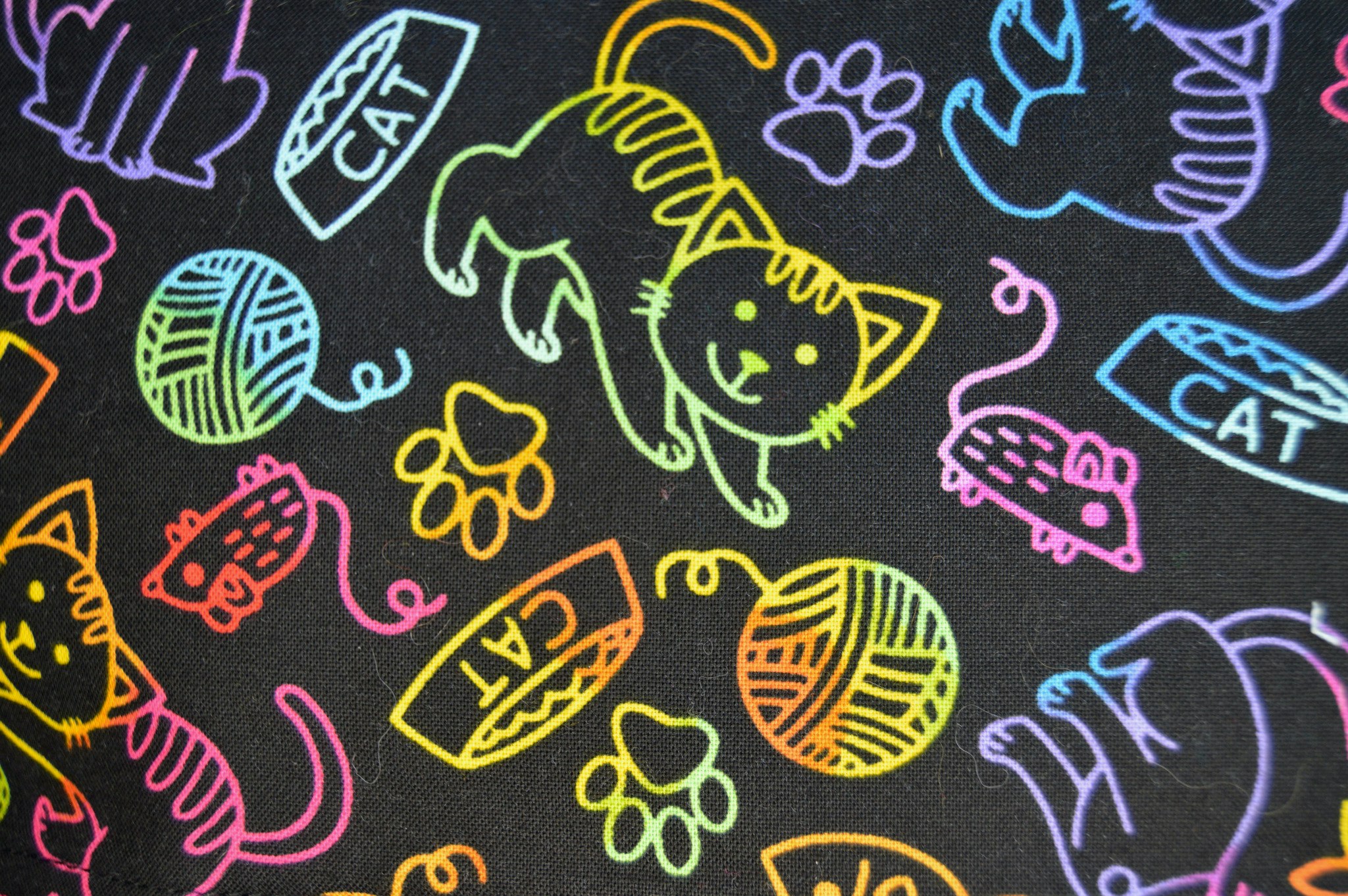 Katter i regnbågens färger på svart botten