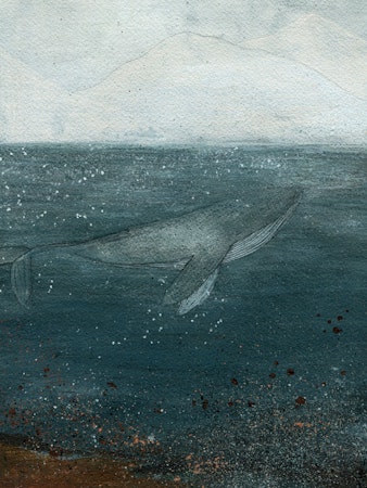 ICE WHALE