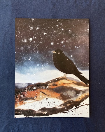KOLTRAST 30x40
