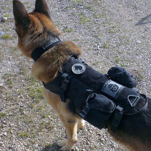 Police-Swe patch 12