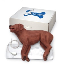 Akut omhändertagande hund