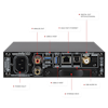 cocktail Audio N15D