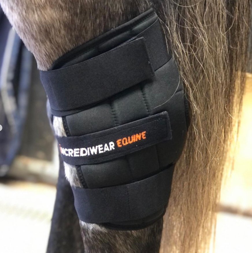 Incrediwear Equine