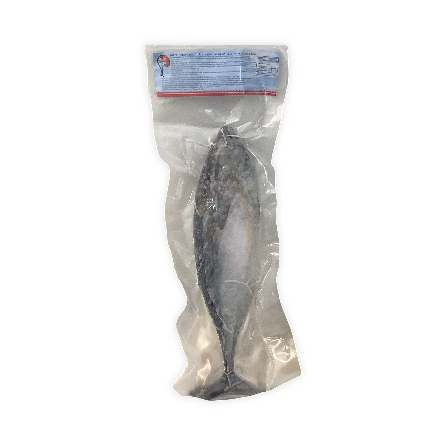 ASIAN PEARL FISH /TULINGAN  BIG 1 pc (for pick up only)