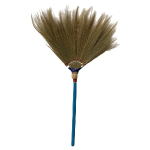 Walis tambo