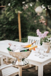 Coolie Champagnekylare rostfritt blank  35*22,5 cm