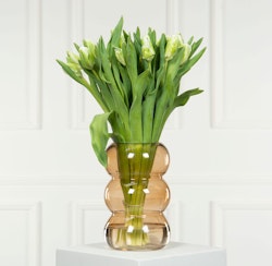 Vas Tulip Fudge