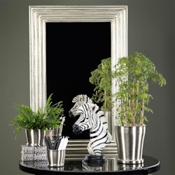 Spegel Nomi Champ Metall 80x5x123cm