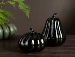 Pumpa Glas Avlång Grön