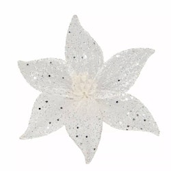 Blomma Vit Clip