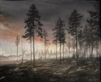 Morgondimma