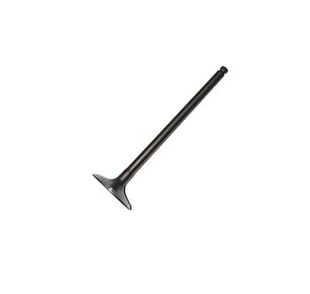 22. Insugsventil Daytona Anima 24,5mm