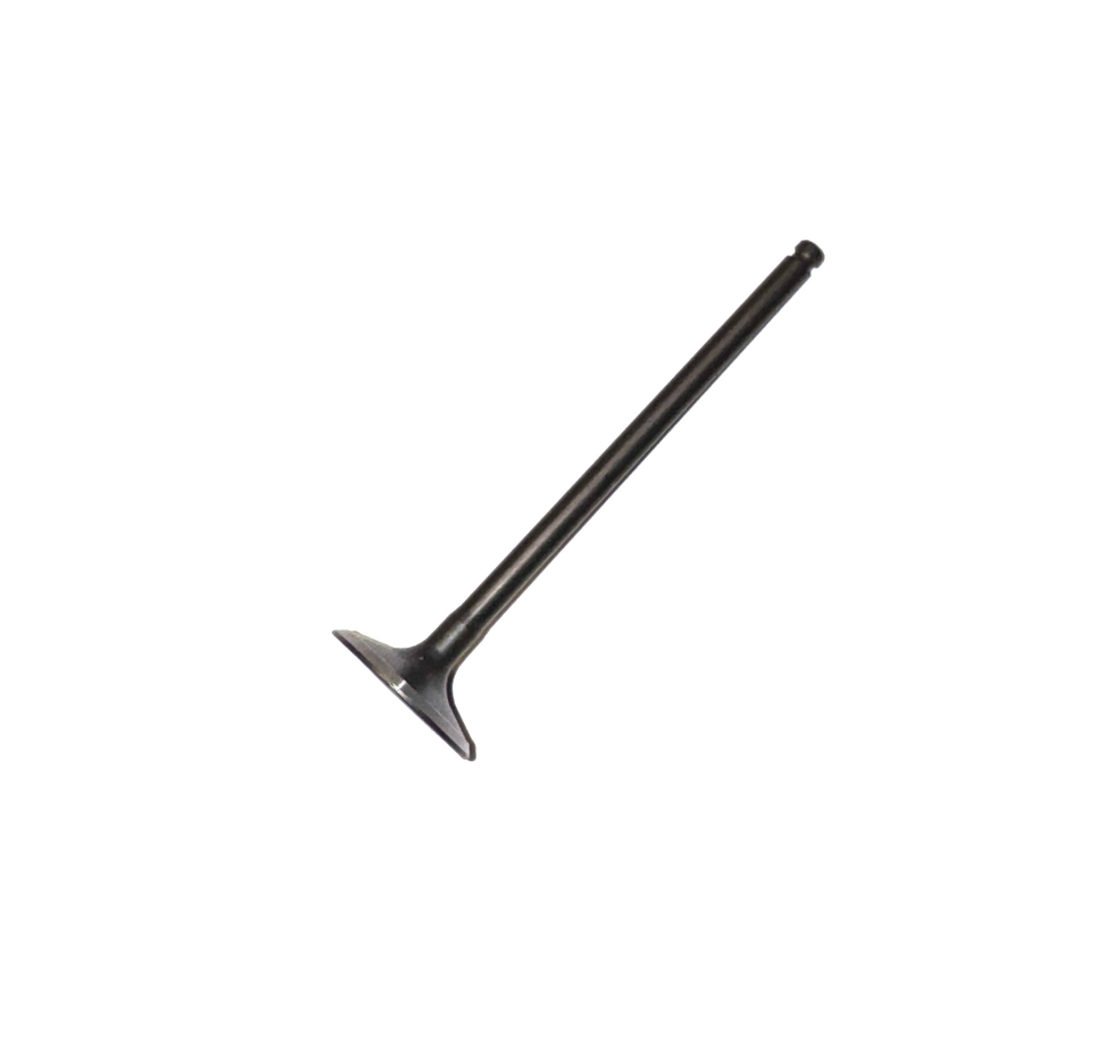 Avgasventil Daytona Anima 21mm 190cc