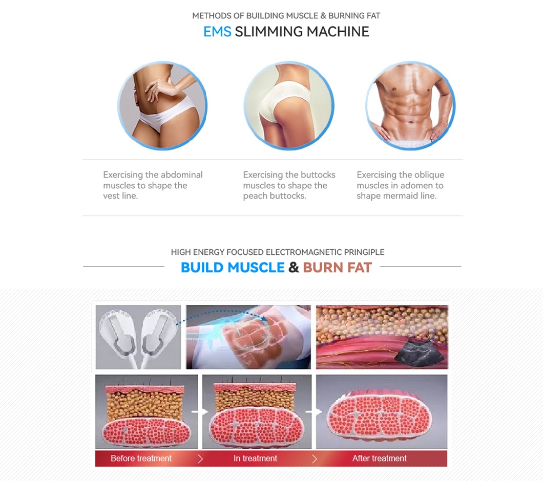 2 / 4 Handles Hifem Ems Slim Machine For Body Sculpting