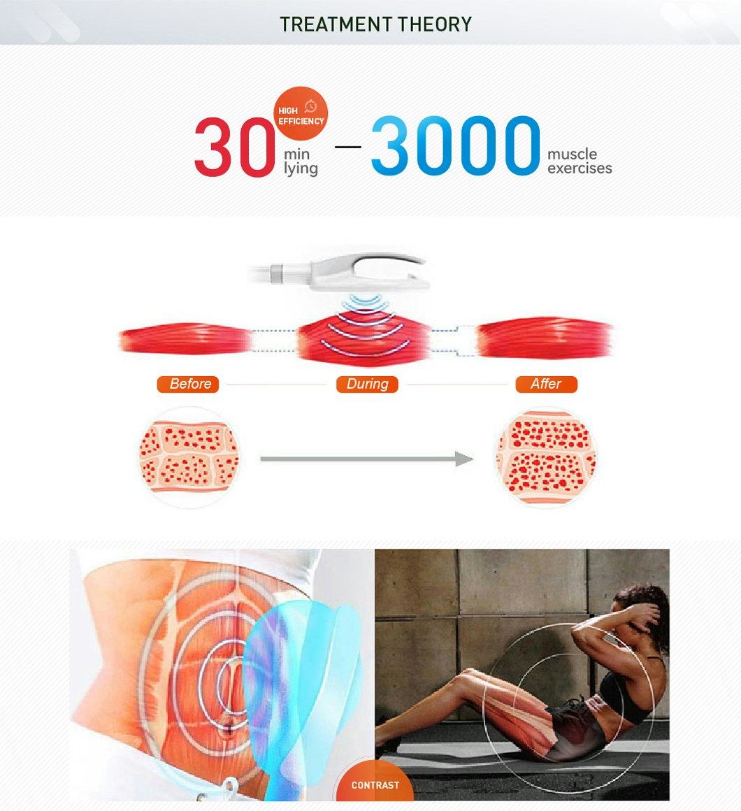 2 / 4 Handles Hifem Ems Slim Machine For Body Sculpting