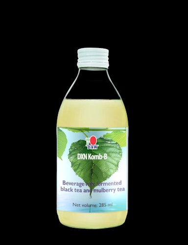 DXN Komb-B 285ml