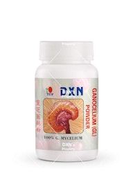 reishi mushroom
