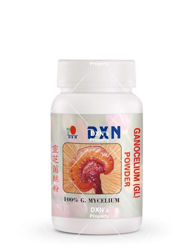 reishi mushroom