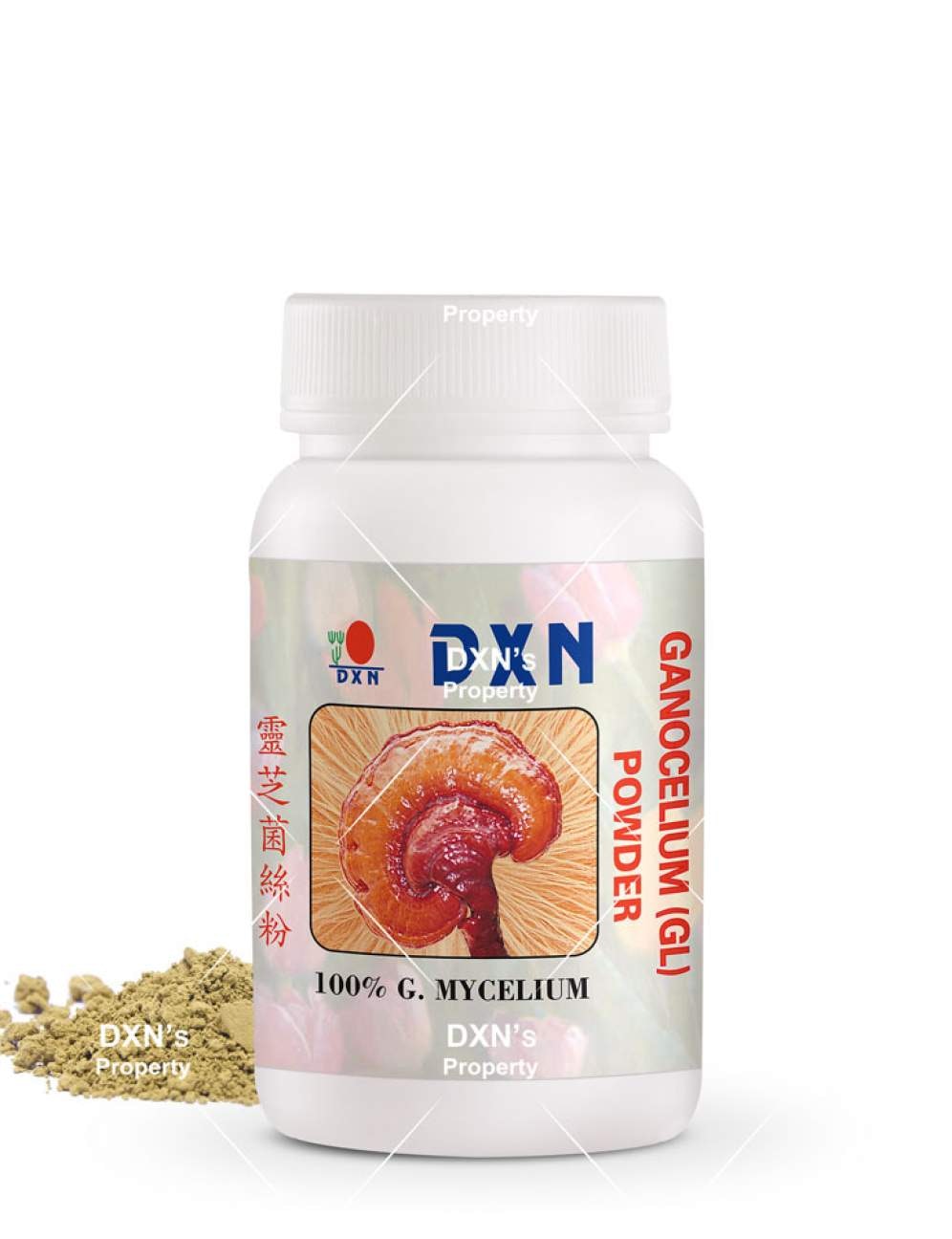 reishi mushroom