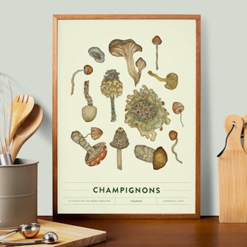 Poster Svamp