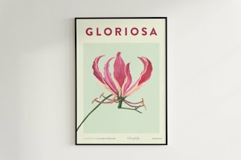 Poster Klänglilja