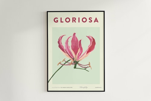 Poster Klänglilja