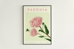 Poster Pion