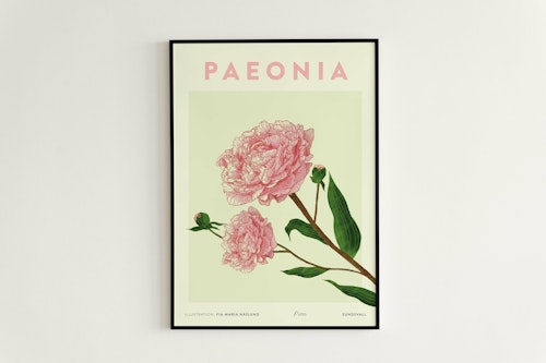 Poster Pion