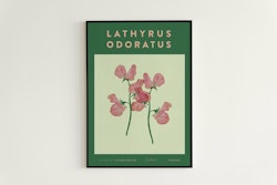Poster Luktärt