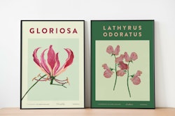 Posterduo Klänglilja & Luktärt
