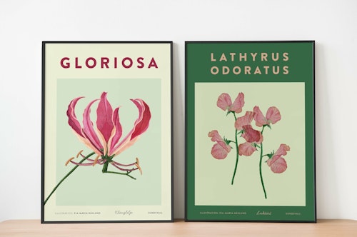Posterduo Klänglilja & Luktärt