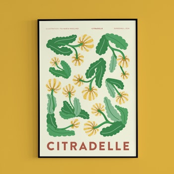 Poster Citradelle