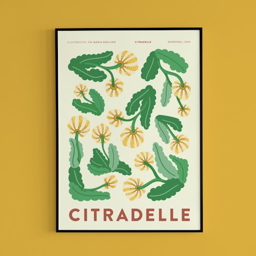 Poster Citradelle
