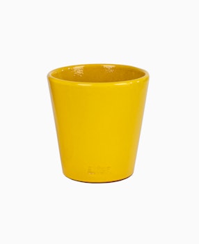 Liten blomkruka-gul