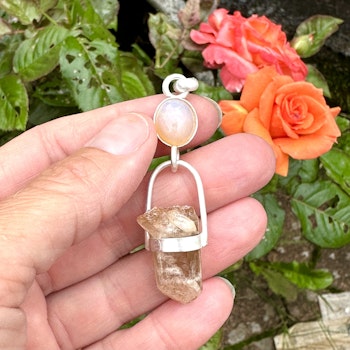 Opal with Golden Healer with Phantom from Sweden