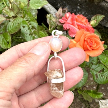 Opal with Golden Healer with Phantom from Sweden