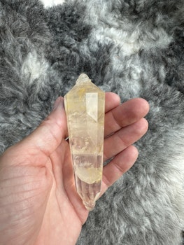 Golden Healer Vogel crystal