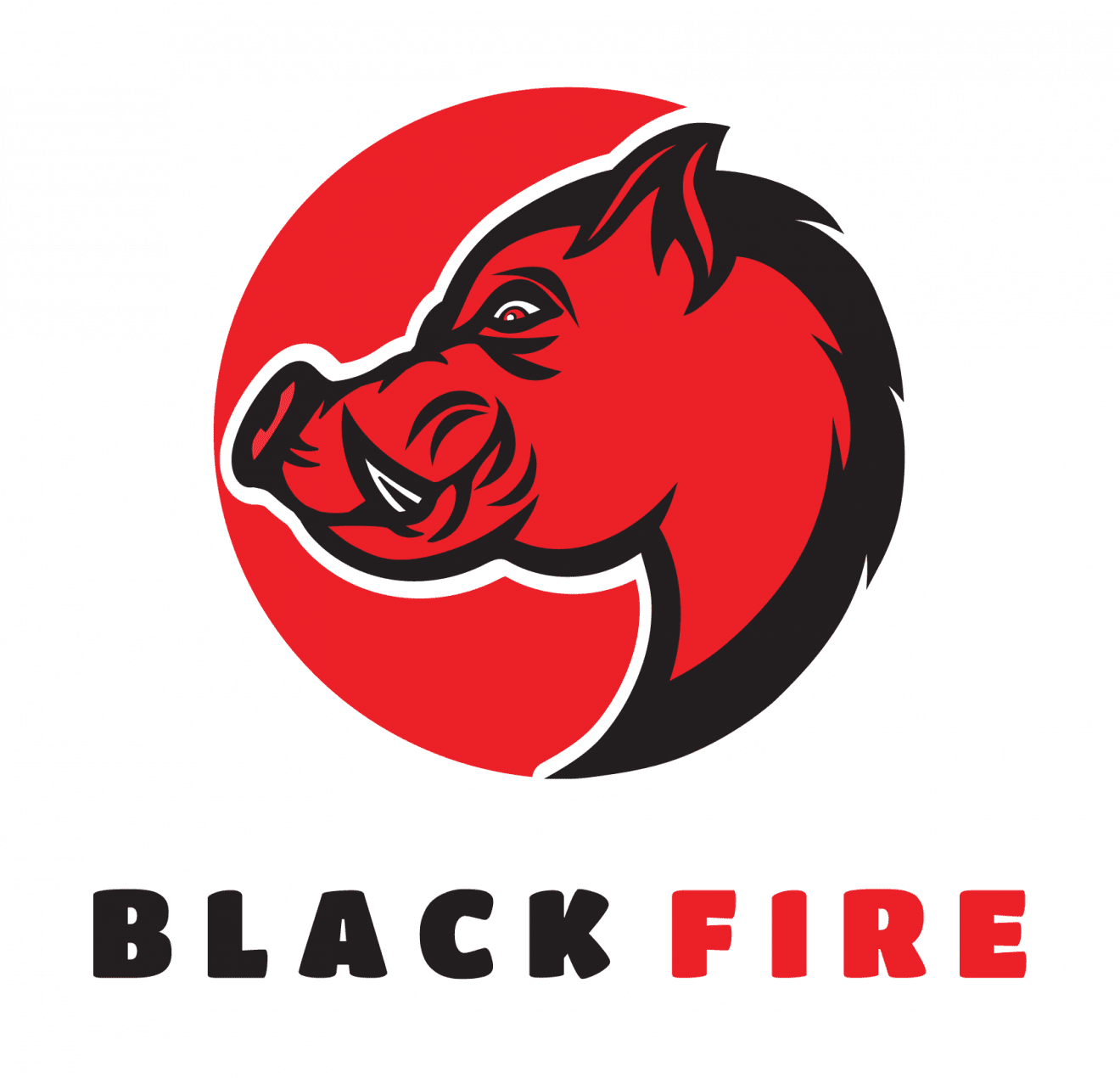 Black Fire - Karlstad Jakt & Fritid