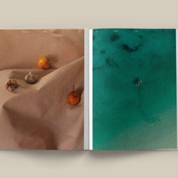 The Design Hotels Book - Taste and place