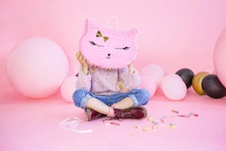 Pinata Katt Rosa
