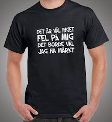 Det är väl inget fel på mig det borde väl jag ha märkt