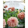 Bok Dahlia Breeding
