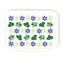 Tray - White and blue hepatica