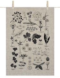 Tea towel - Province flowers of Sweden