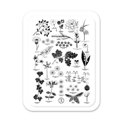 Bricka - Landskapsblommor