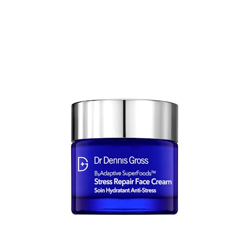 Stress Repair Face Cream 60 ml, Dr. Dennis Gross