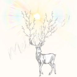 Print Deer
