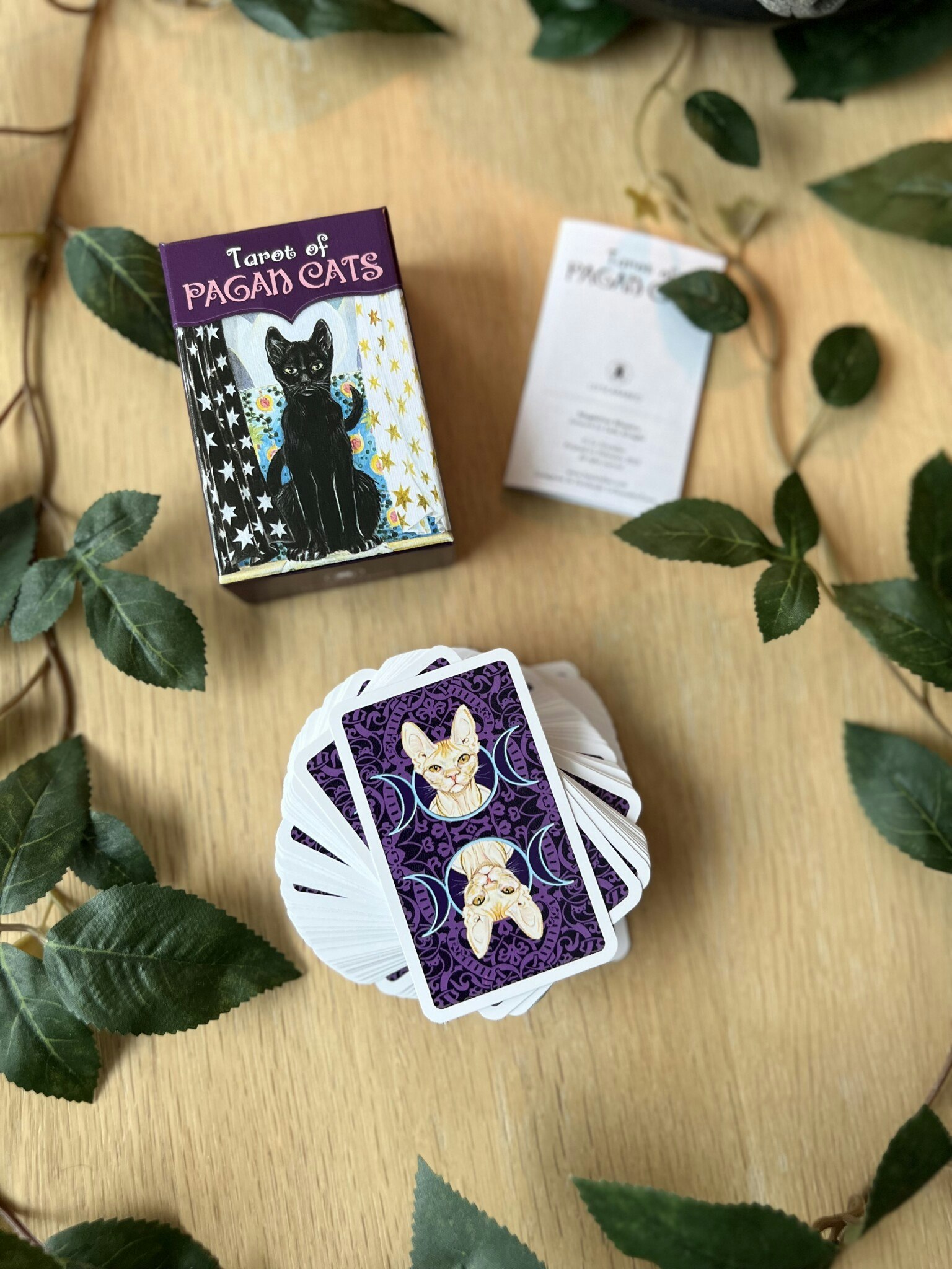 Tarot of Pagan Cats pocket size