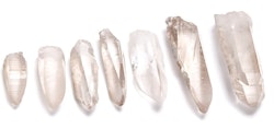 Lemurian Seed Rökkvarts