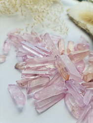 Rosa Aura Spets